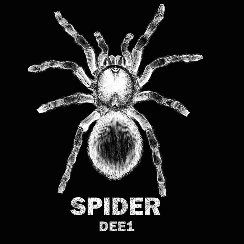 SPIDER (Explicit)