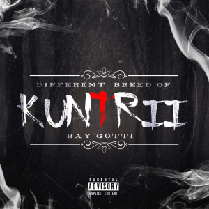 Dengarkan lagu Wish You Would (Explicit) nyanyian RAY GOTTI dengan lirik