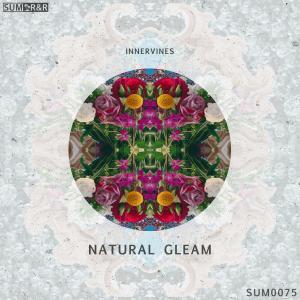 ดาวน์โหลดและฟังเพลง Natural Gleam พร้อมเนื้อเพลงจาก innervines