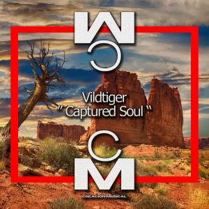 Album Captured Soul (Original Mix) from Vildtiger