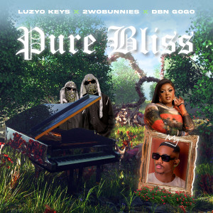 DBN Gogo的專輯Pure Bliss