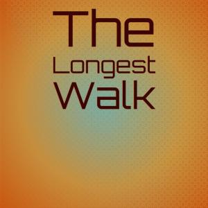 Silvia Natiello-Spiller的專輯The Longest Walk