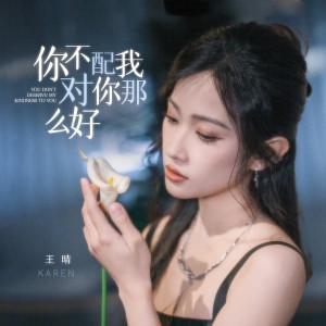 Album 你不配我对你那么好 from 王晴