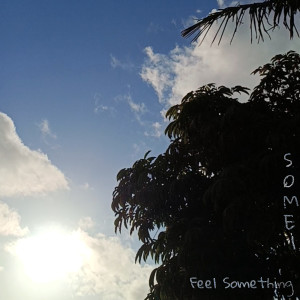 Album Feel Something from SOME1