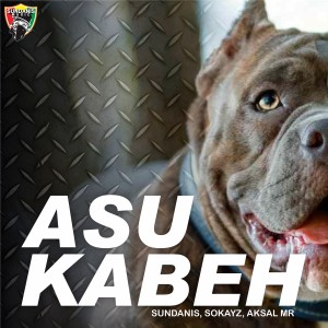 Album ASU KABEH from SOKAYZ
