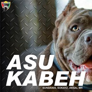 Sundanis的專輯ASU KABEH