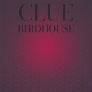 Various Artists的专辑Clue Birdhouse