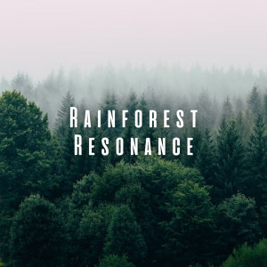 Rainforest Resonance: Forest Rain for Mindful Relaxation