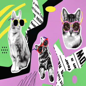 อัลบัม 고양이 고양이 (cat cat) ศิลปิน 슈슈가