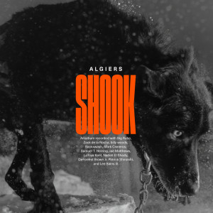 Shook (Explicit) dari Algiers