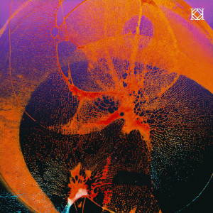 ดาวน์โหลดและฟังเพลง We Are (Radio Edit) พร้อมเนื้อเพลงจาก REYUS