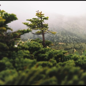 Listen to Waves song with lyrics from Study Music Library