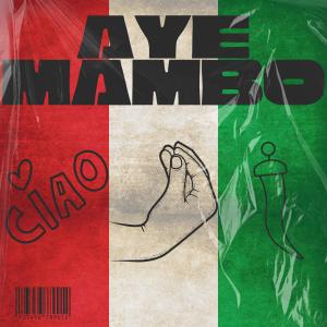 Light League的專輯Aye Mambo (feat. Vanessa Campagna)