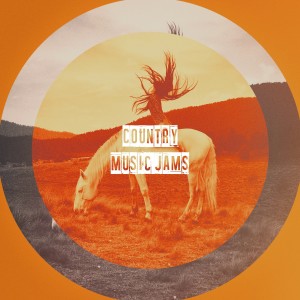 Country Love的專輯Country Music Jams