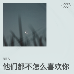 Album 他们都不怎么喜欢你 from 张雪飞