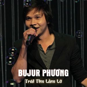 Album Trái Tim Lầm Lỡ from Bujur Phương