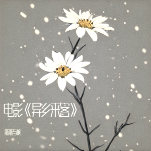 斯斯與帆的專輯電影《異鄉來客》