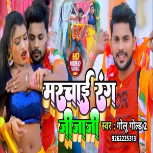 Listen to Marchai Rang Jija Ji (Bhojpuri Song) song with lyrics from GOLU GOLD 2