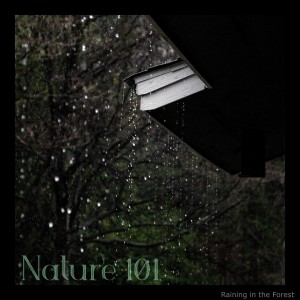ดาวน์โหลดและฟังเพลง Raining in the Forest พร้อมเนื้อเพลงจาก Nature 101