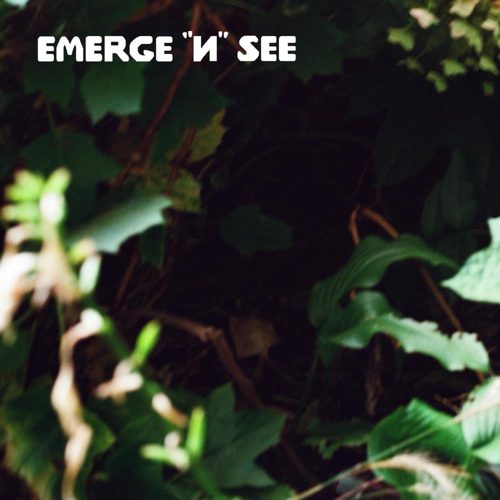 emerge "n" see (feat. Deleteeglitch & Defcee) (Explicit)
