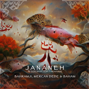 Bahramji & Maneesh De Moor的專輯Jananeh