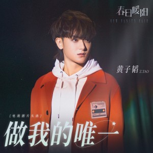 收听黄子韬(Tao)的做我的唯一歌词歌曲