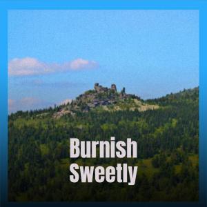 Burnish Sweetly dari Various Artists