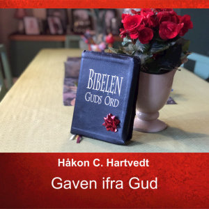 ดาวน์โหลดและฟังเพลง Finnes som Jesus พร้อมเนื้อเพลงจาก Håkon C. Hartvedt