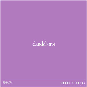 Dengarkan lagu dandelions (Sped Up) nyanyian Shady dengan lirik