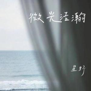 收聽星野的微光浩瀚歌詞歌曲