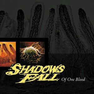 ดาวน์โหลดและฟังเพลง Pain Glass Vision พร้อมเนื้อเพลงจาก Shadows Fall
