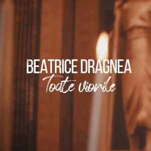 Listen to Toate Viorile song with lyrics from Beatrice Dragnea