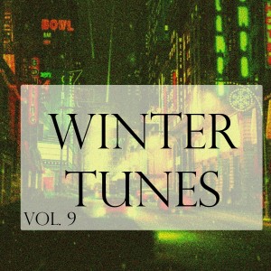 อัลบัม Winter Tunes, Vol. 9 ศิลปิน Various Artists