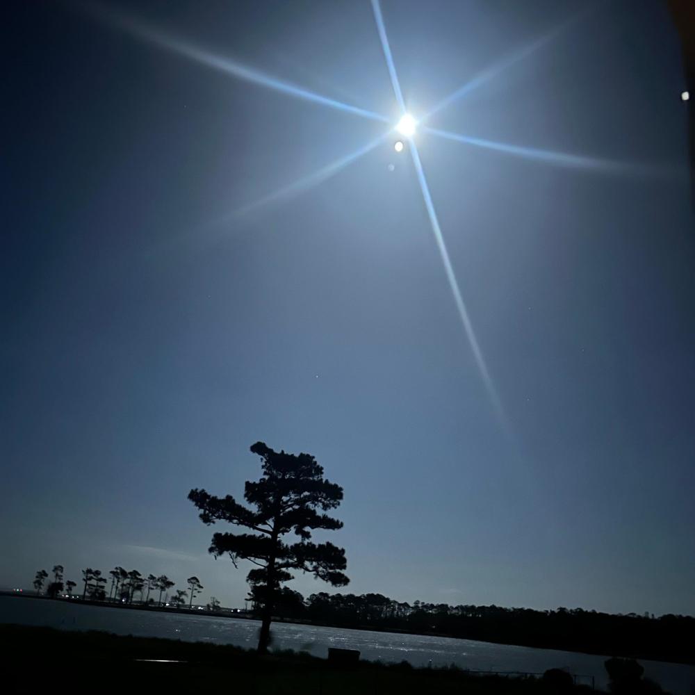 shine