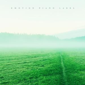 Various Artists的专辑Peace of mind in the time of meditation (New Age piano)