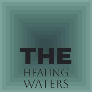 Silvia Natiello-Spiller的专辑The Healing Waters