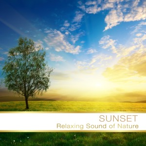 Album Sunset Relax (Relaxing Sound of Nature) from 
