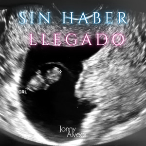 ดาวน์โหลดและฟังเพลง Sin Haber Llegado พร้อมเนื้อเพลงจาก JONNY ALVEAR