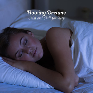 Album Flowing Dreams: Calm and Chill for Sleep oleh Oliver Sleeping
