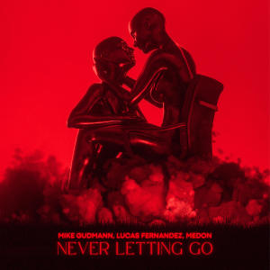 Lucas Fernandez的專輯Never Letting Go