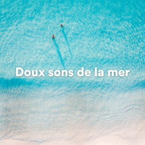 Vagues de l'océan的專輯Doux sons de la mer (Sons de la mer pour dormir)