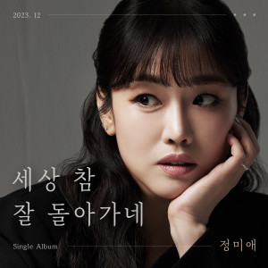 Listen to 세상 참 잘 돌아가네 (a despondent life) (Inst) song with lyrics from 정미애