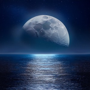 ดาวน์โหลดและฟังเพลง Ritmos Tranquilos Que Fluyen En La Noche พร้อมเนื้อเพลงจาก Librería Música