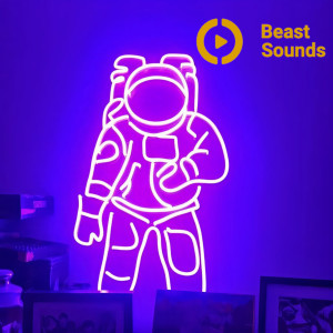 收听Beast Sounds的Meet Me in the Pale Moonlight歌词歌曲