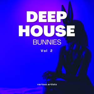 Various Artists的專輯Deep-House Bunnies, Vol. 2 (Explicit)