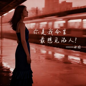 Album 你是我今生最想见的人（DJ西米版） from 田园