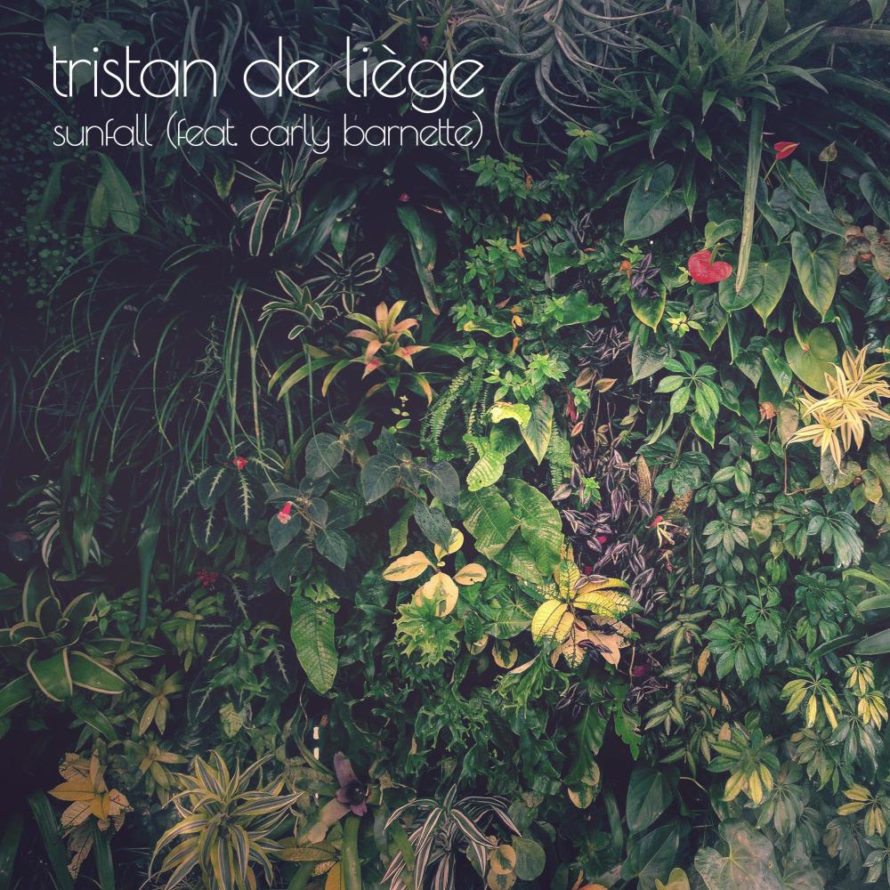 Sunfall (Asta Hiroki Remix)