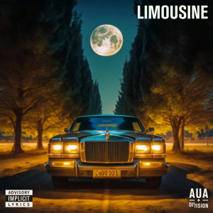 Listen to Limousine (Remix) song with lyrics from Aua