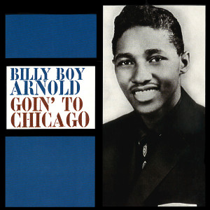ดาวน์โหลดและฟังเพลง Why Is Everybody Down On Me พร้อมเนื้อเพลงจาก Billy Boy Arnold