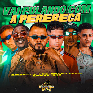 Album VAI PULANDO COM A PERERECA (Explicit) from Afinho do Fluxo